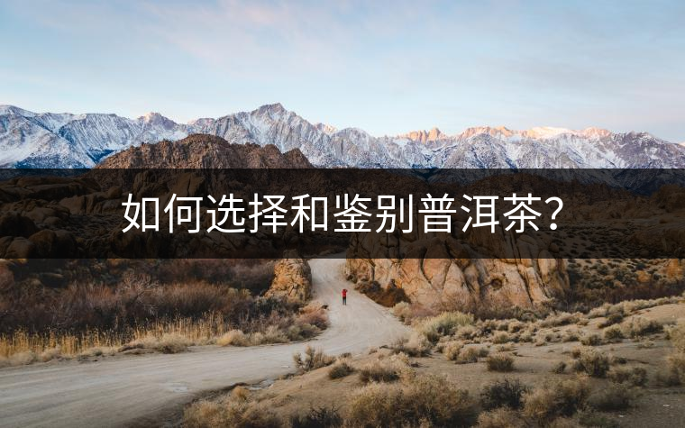 如何選擇和鑒別普洱茶？