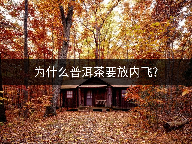 為什么普洱茶要放內(nèi)飛? 為什么普洱茶要放內(nèi)飛?