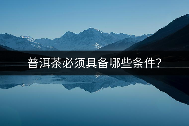 普洱茶必須具備哪些條件？