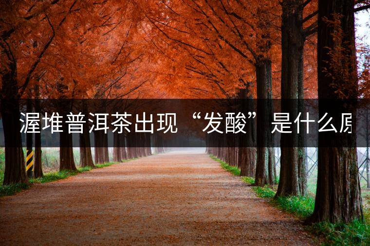渥堆普洱茶出現(xiàn)“發(fā)酸”是什么原因? 渥堆普洱茶出現(xiàn)“發(fā)酸”是什么原因?