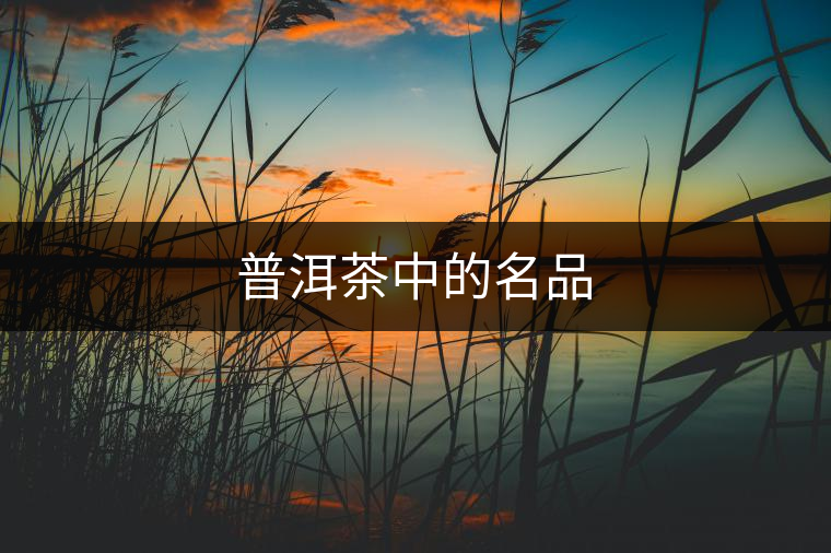 普洱茶中的名品