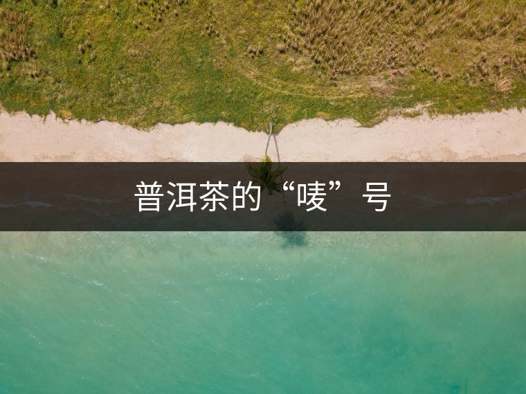 普洱茶的“嘜”號 普洱茶的“嘜”號