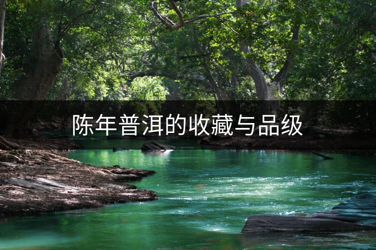 陳年普洱的收藏與品級 陳年普洱的收藏與品級