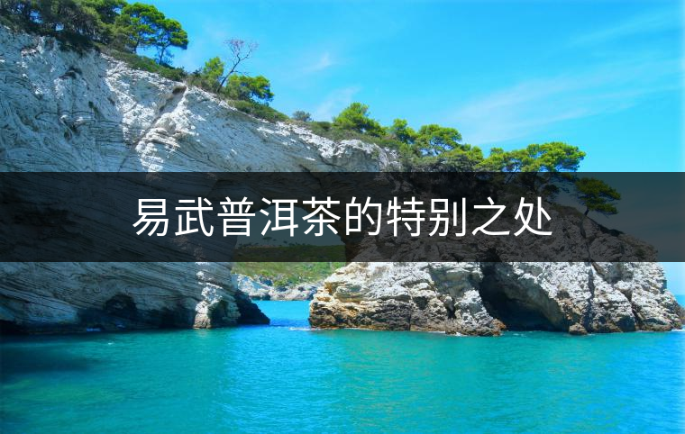 易武普洱茶的特別之處 易武普洱茶的特別之處