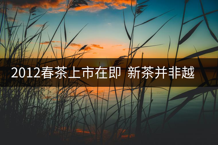 2012春茶上市在即  新茶并非越新越好
