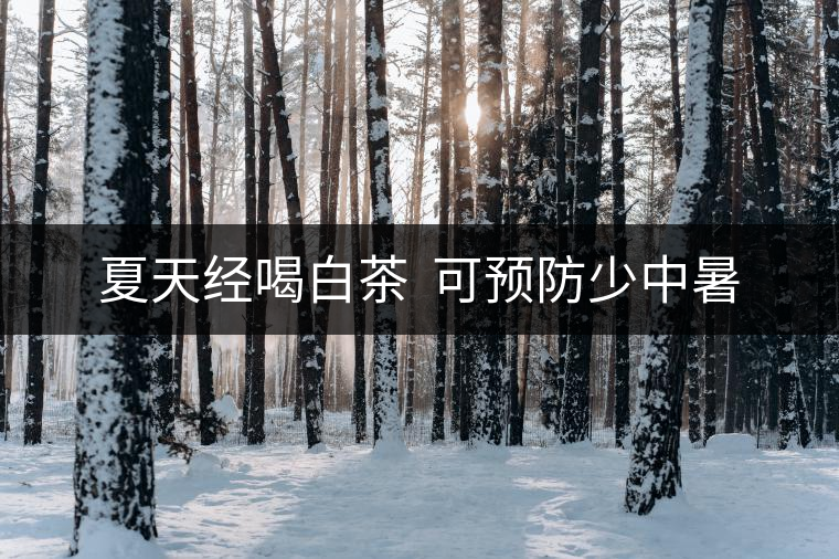 夏天經(jīng)喝白茶 可預防少中暑 夏天經(jīng)喝白茶 可預防少中暑