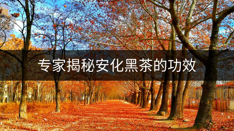 專(zhuān)家揭秘安化黑茶的功效 專(zhuān)家揭秘安化黑茶的功效