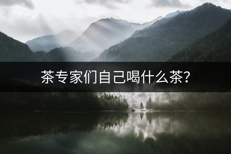 茶專家們自己喝什么茶？