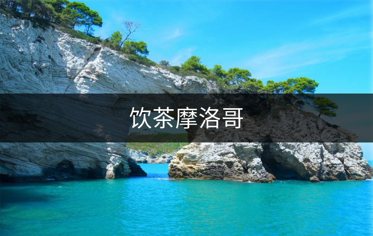 飲茶摩洛哥 飲茶摩洛哥