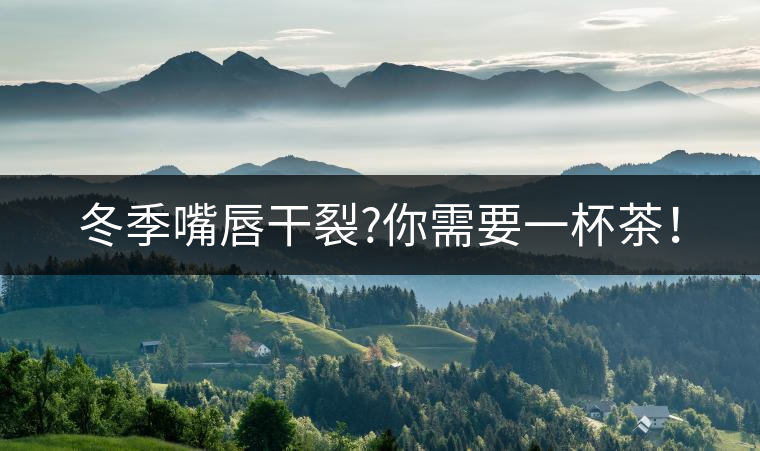 冬季嘴唇干裂?你需要一杯茶！