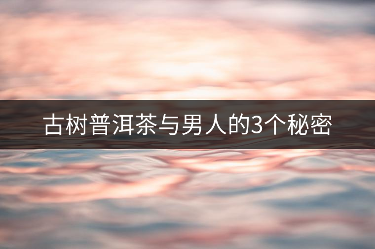 古樹普洱茶與男人的3個秘密 古樹普洱茶與男人的3個秘密