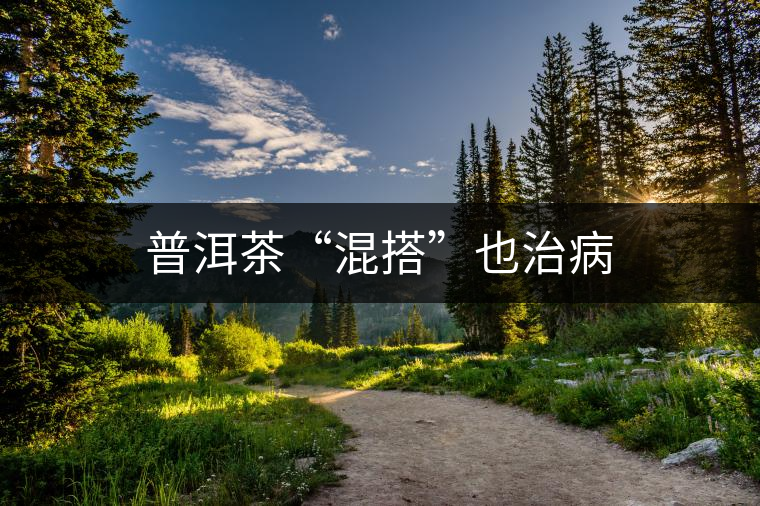 普洱茶“混搭”也治病 普洱茶“混搭”也治病