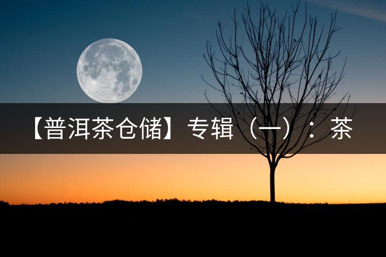 【普洱茶倉(cāng)儲(chǔ)】專(zhuān)輯（一）：茶商倉(cāng)儲(chǔ)與家庭倉(cāng)的差異