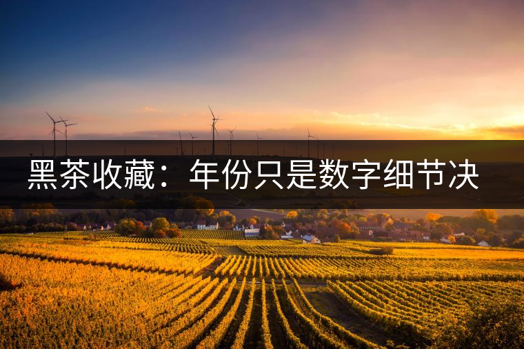 黑茶收藏:年份只是數(shù)字細(xì)節(jié)決定價值 黑茶收藏:年份只是數(shù)字細(xì)節(jié)決定價值