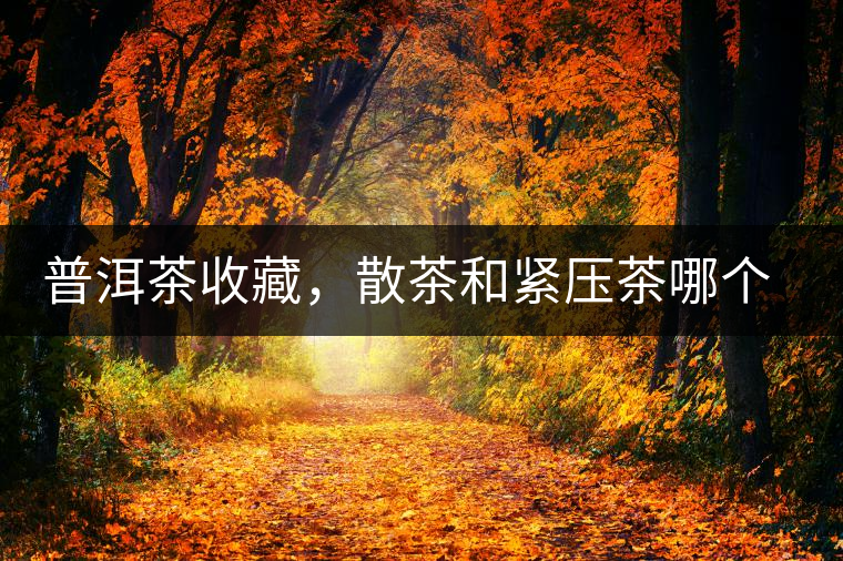 普洱茶收藏，散茶和緊壓茶哪個更好？