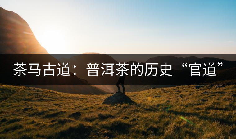 茶馬古道:普洱茶的歷史“官道” 茶馬古道:普洱茶的歷史“官道”