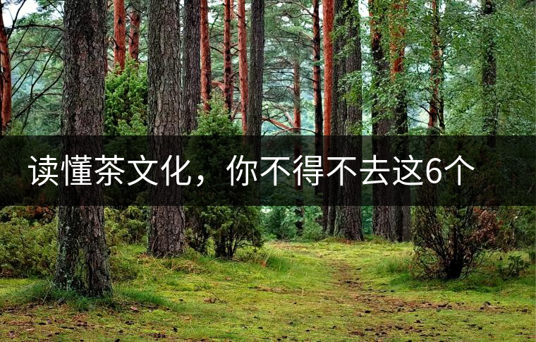 讀懂茶文化，你不得不去這6個城市