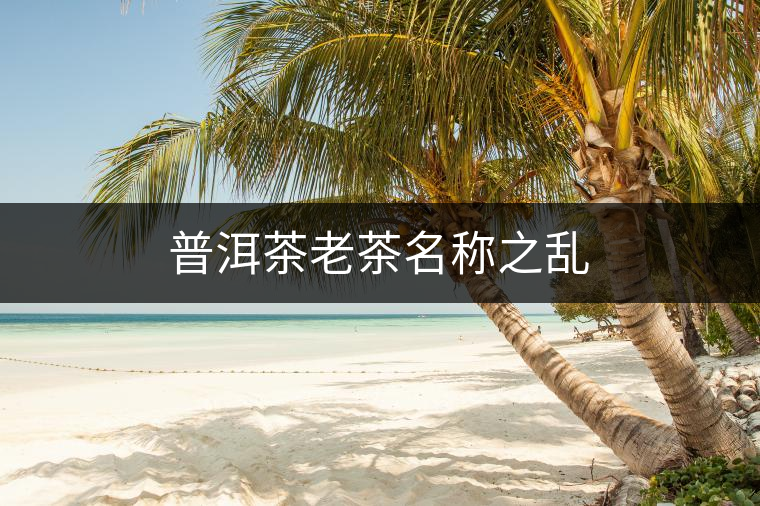 普洱茶老茶名稱之亂 普洱茶老茶名稱之亂