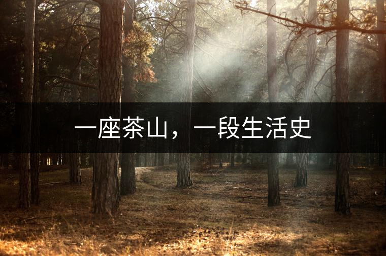 一座茶山，一段生活史