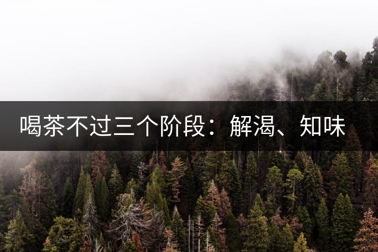喝茶不過三個(gè)階段：解渴、知味、怡情