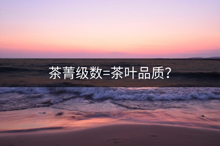 茶菁級(jí)數(shù)=茶葉品質(zhì)？