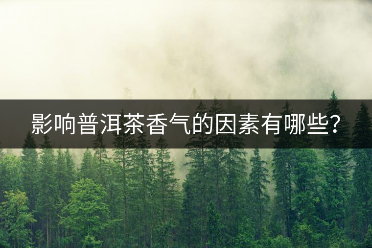 影響普洱茶香氣的因素有哪些？