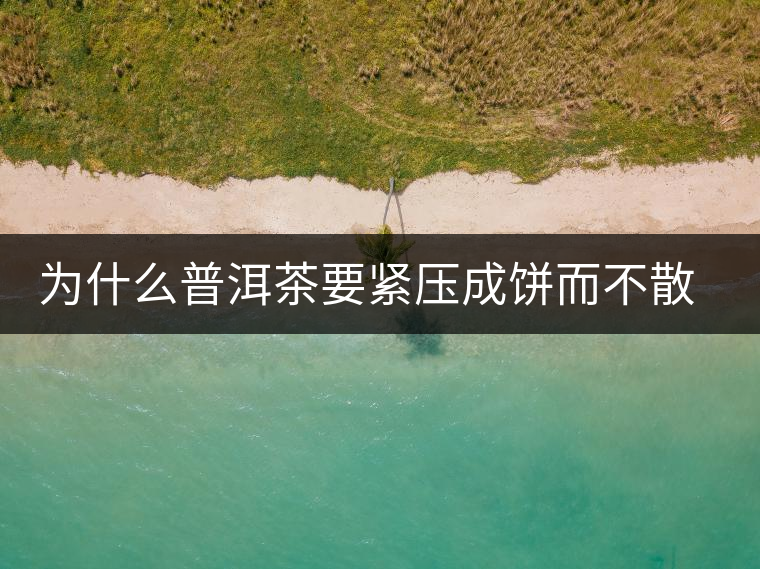 為什么普洱茶要緊壓成餅而不散存呢？