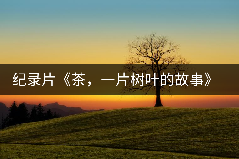紀錄片《茶，一片樹葉的故事》 茶文化的詩意追尋