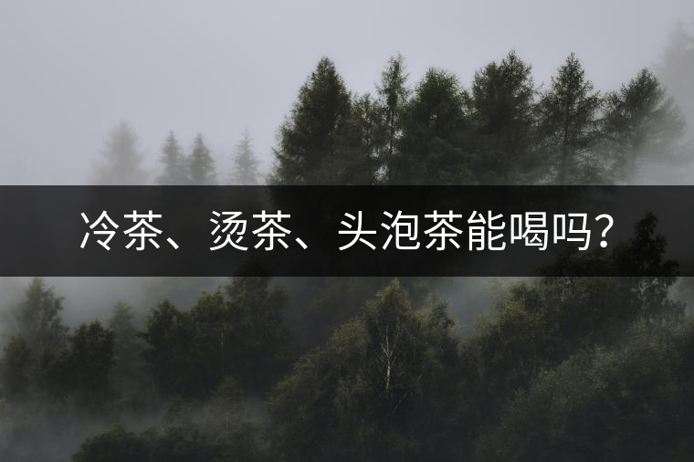 冷茶、燙茶、頭泡茶能喝嗎？