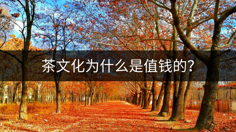 茶文化為什么是值錢的？