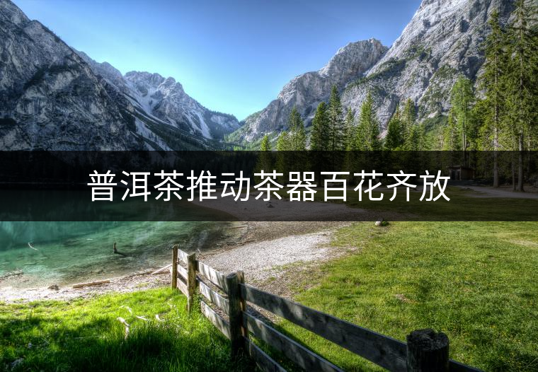 普洱茶推動茶器百花齊放 普洱茶推動茶器百花齊放