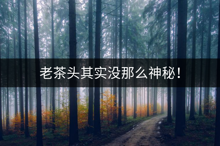 老茶頭其實(shí)沒那么神秘！