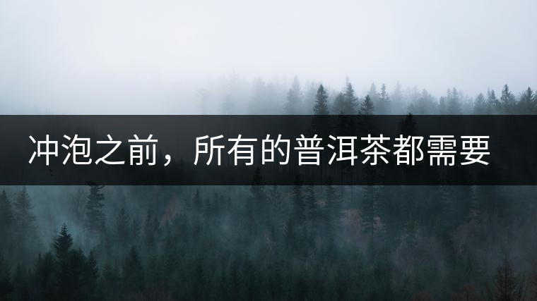 沖泡之前，所有的普洱茶都需要醒茶嗎？