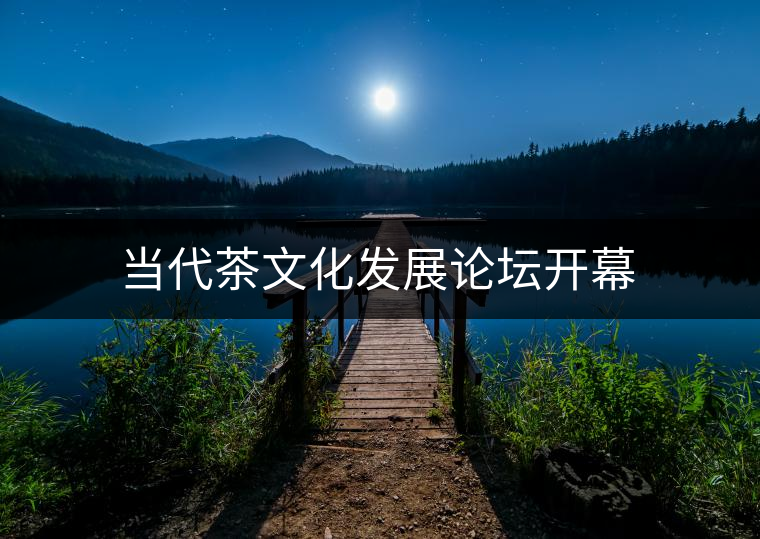 當(dāng)代茶文化發(fā)展論壇開幕 當(dāng)代茶文化發(fā)展論壇開幕