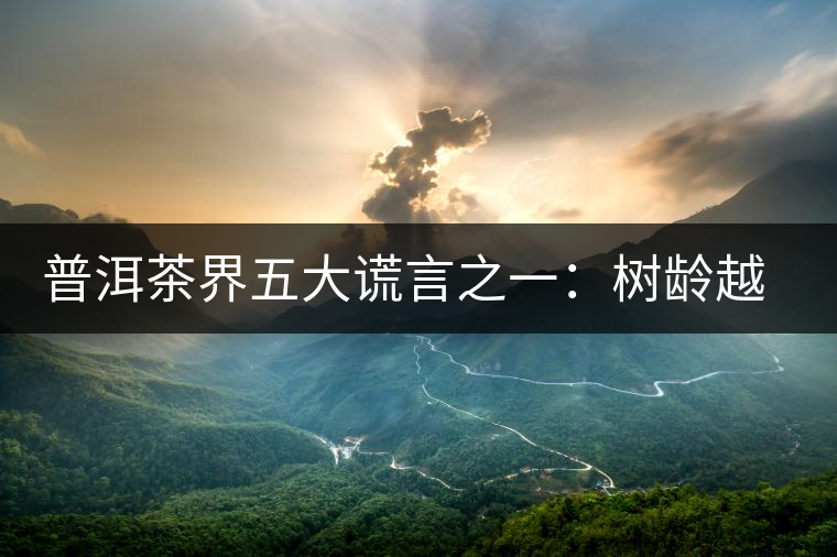 普洱茶界五大謊言之一：樹齡越高，品質(zhì)越好