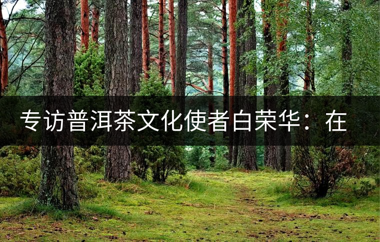 專訪普洱茶文化使者白榮華:在傳承中發(fā)揚創(chuàng)新 專訪普洱茶文化使者白榮華:在傳承中發(fā)揚創(chuàng)新