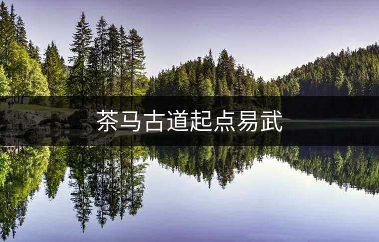 茶馬古道起點易武 茶馬古道起點易武
