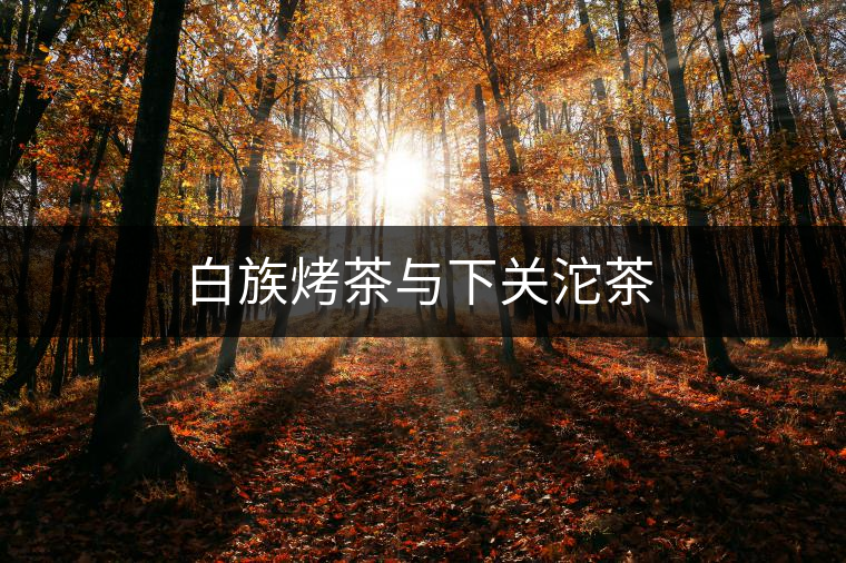 白族烤茶與下關(guān)沱茶