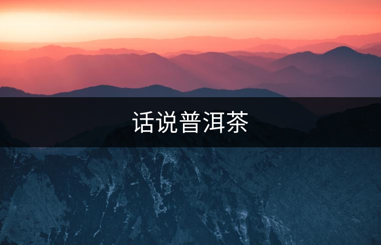 話說普洱茶 話說普洱茶