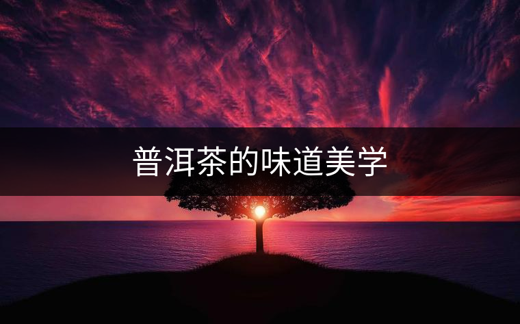 普洱茶的味道美學