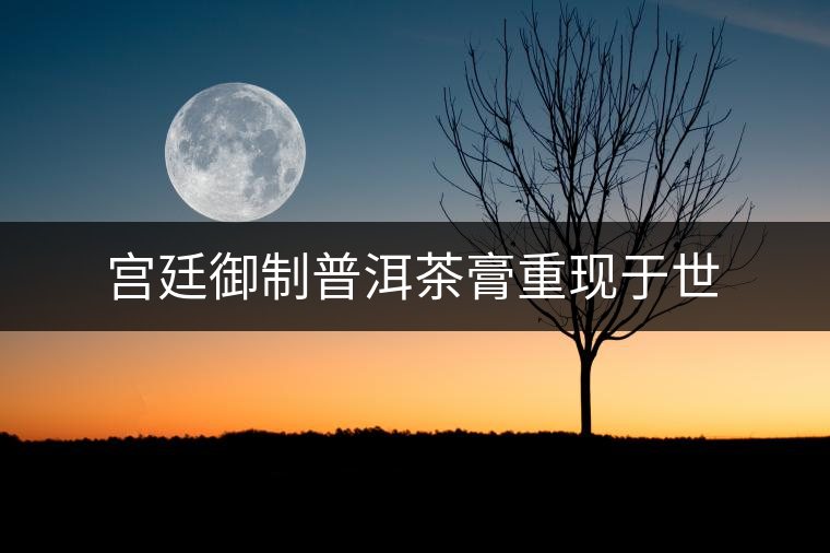 宮廷御制普洱茶膏重現(xiàn)于世 宮廷御制普洱茶膏重現(xiàn)于世