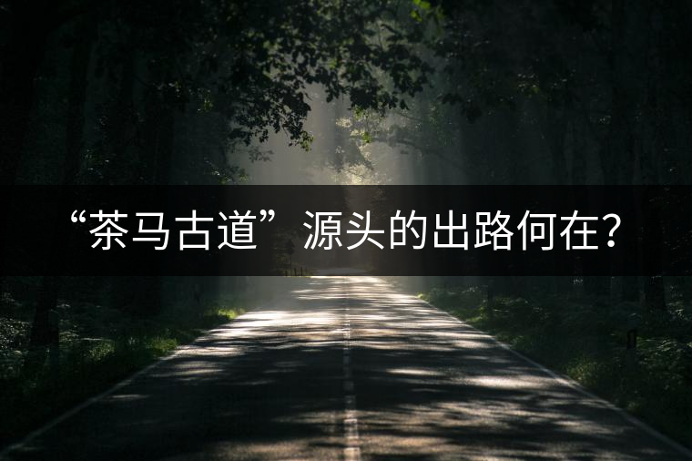 “茶馬古道”源頭的出路何在? “茶馬古道”源頭的出路何在?