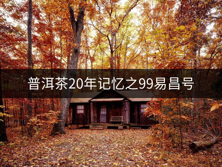 普洱茶20年記憶之99易昌號(hào)