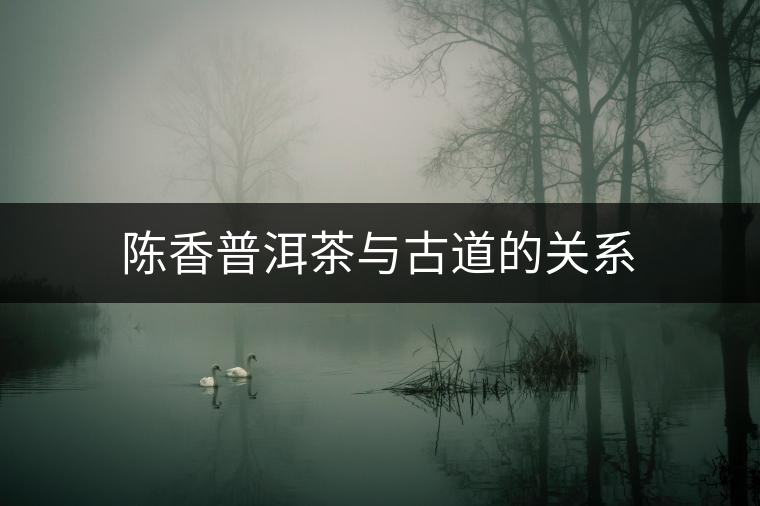 陳香普洱茶與古道的關系 陳香普洱茶與古道的關系