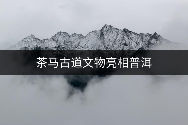 茶馬古道文物亮相普洱