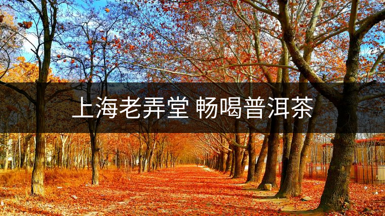 上海老弄堂 暢喝普洱茶 上海老弄堂 暢喝普洱茶