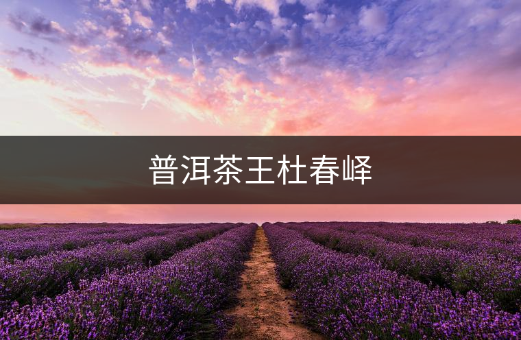 普洱茶王杜春嶧 普洱茶王杜春嶧