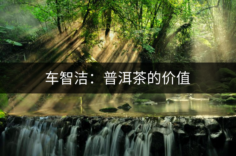 車智潔：普洱茶的價(jià)值
