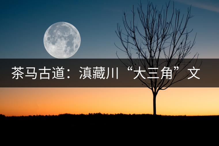 茶馬古道:滇藏川“大三角”文化的紐帶 茶馬古道:滇藏川“大三角”文化的紐帶