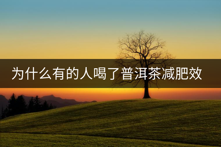 為什么有的人喝了普洱茶減肥效果不明顯呢？